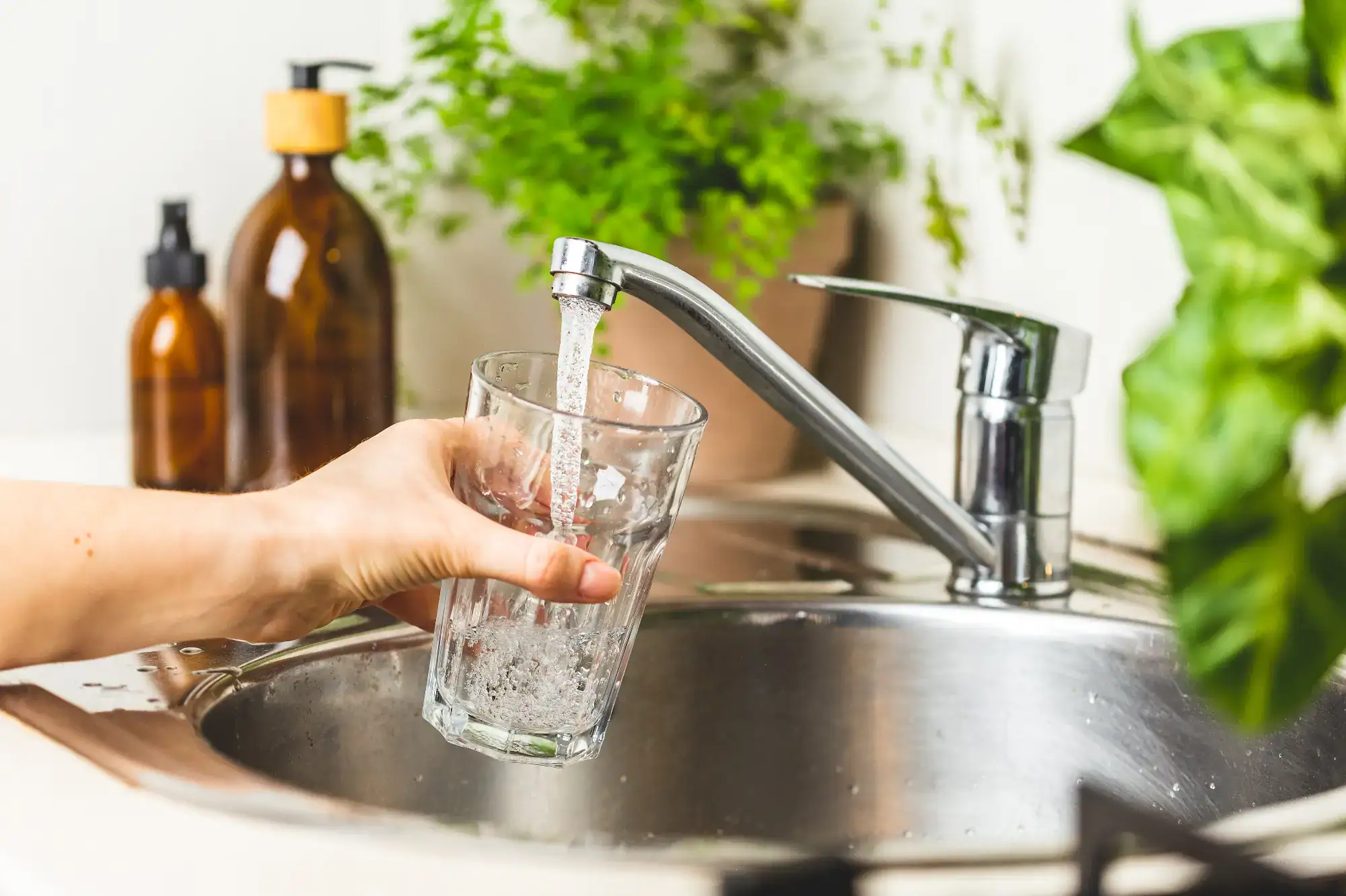 A person holds a glass under a running kitchen faucet, filling it with water. There are soap dispensers and green plants near the stainless steel sink.